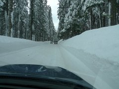 Yosemite_Valley (117)